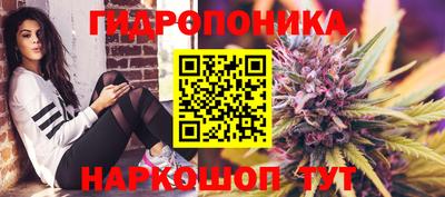 стаф Аша