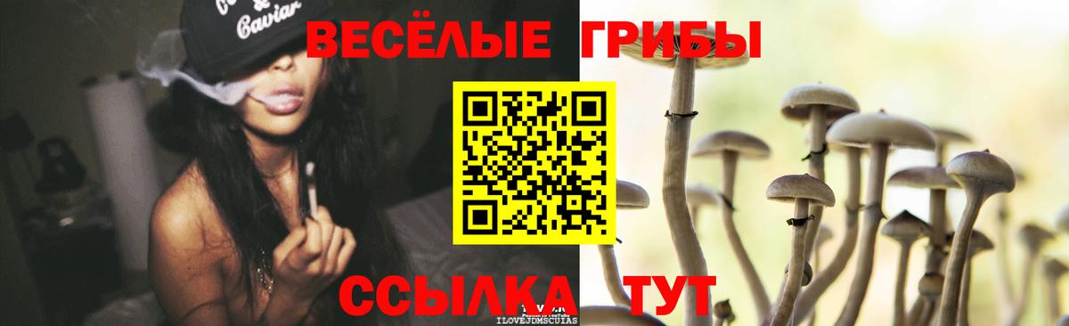 Галлюциногенные грибы GOLDEN TEACHER Алейск